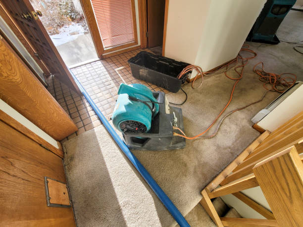 Best Local water damage restoration  in Denair, CA