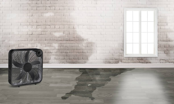 Best Residential water damage restoration  in Denair, CA