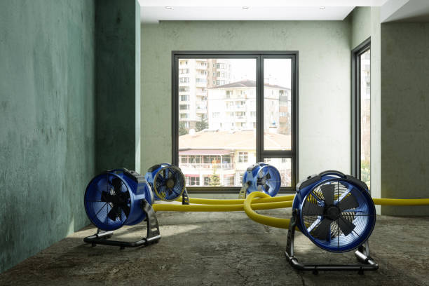 Best Water damage restoration process  in Denair, CA