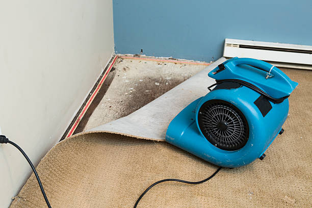 Best Carpet water damage restoration  in Denair, CA